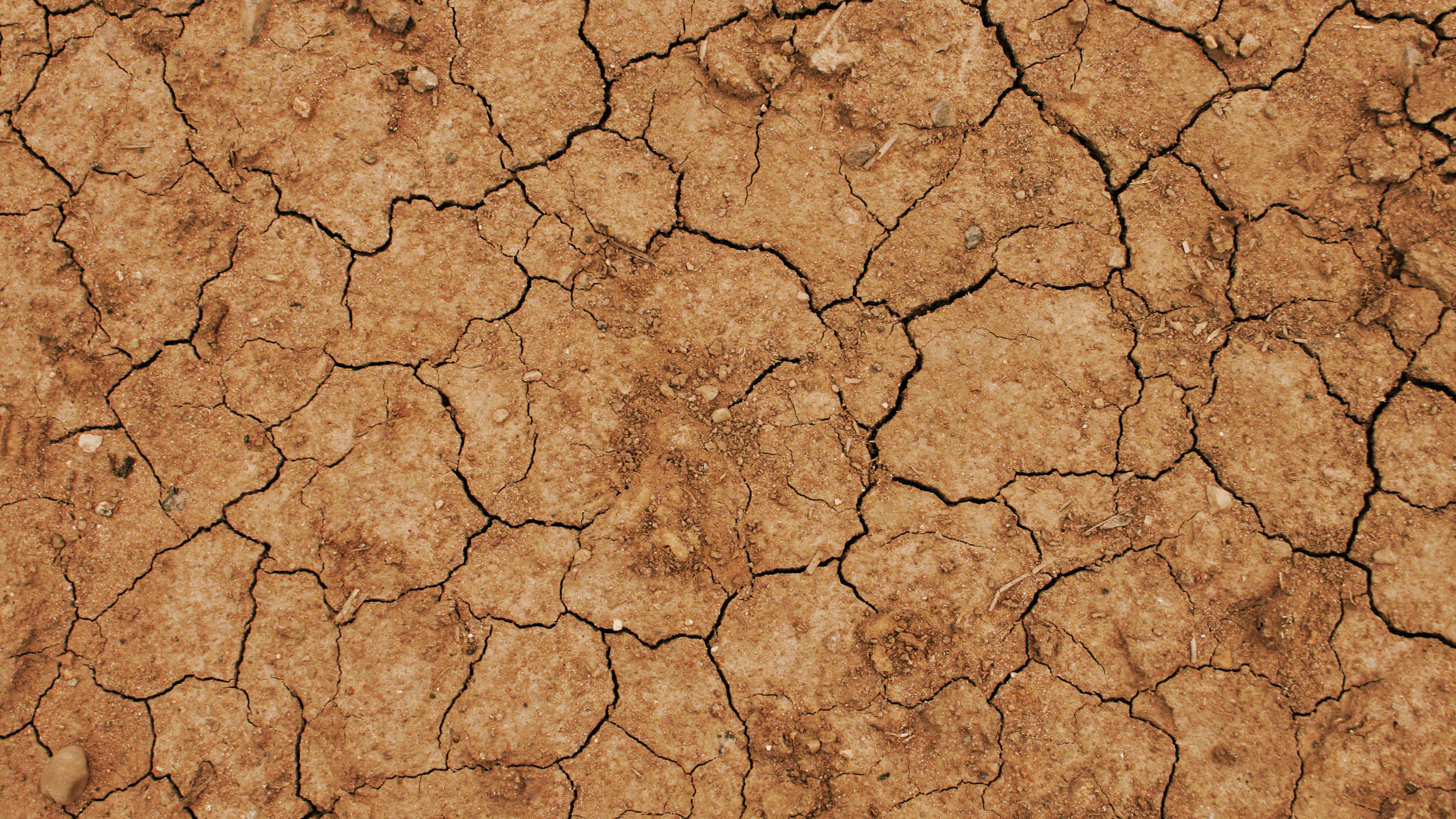 Your Guide to Eczema - OCHRE