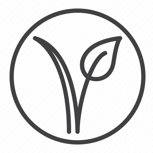 Vegan Seal