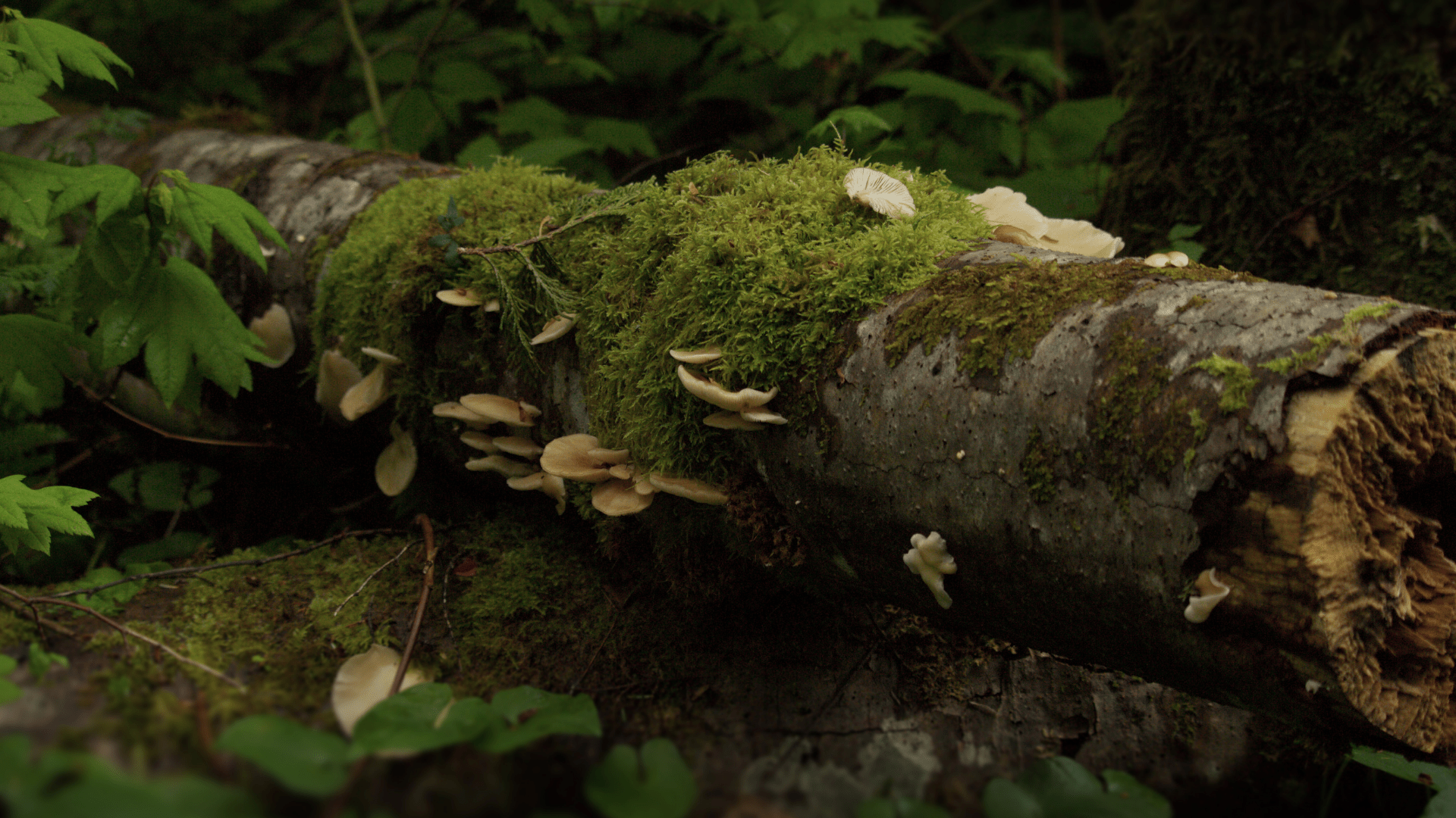 The Microbiome: An Invisible World on Your Skin - OCHRE