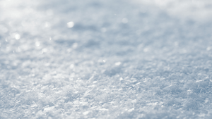 Your Guide to Dandruff and Seborrheic Dermatitis - OCHRE