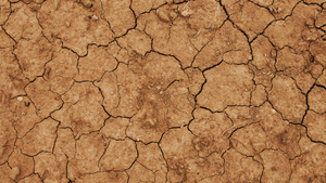 Your Guide to Eczema - OCHRE