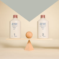 The Balancing Duo - OCHRE